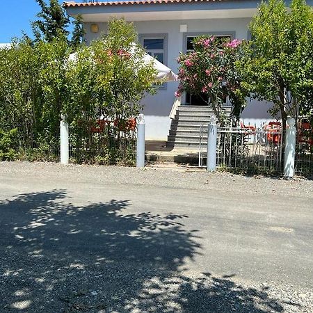 Guest House Andersoni Dhoma Plazhi Andersoni Shen Ded Gjoni Ngoại thất bức ảnh